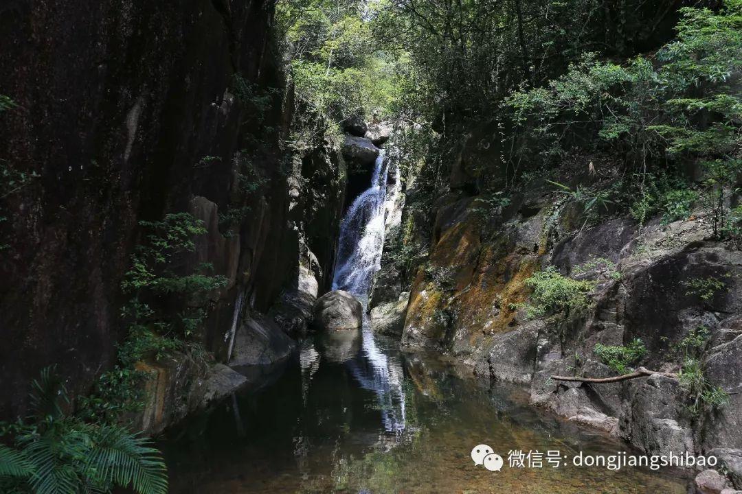 小猫钓鱼开船版最新版下载