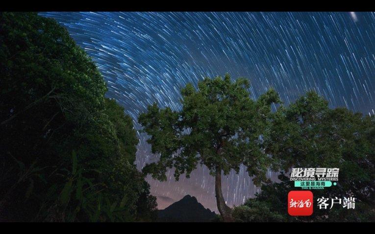 小猫钓鱼开船版最新版下载