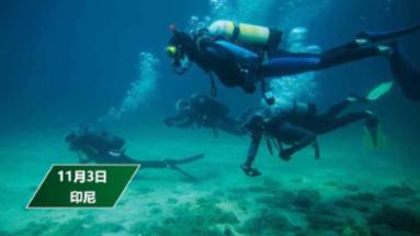 全民烧脑3去广告版