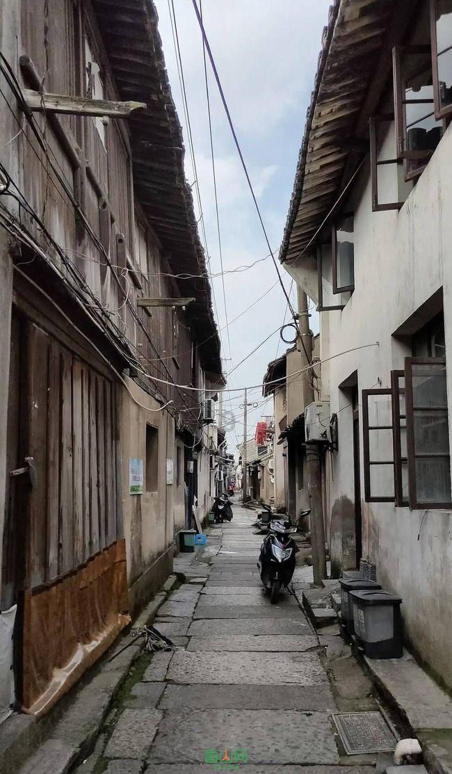 燃烧吧大脑免广告最新版